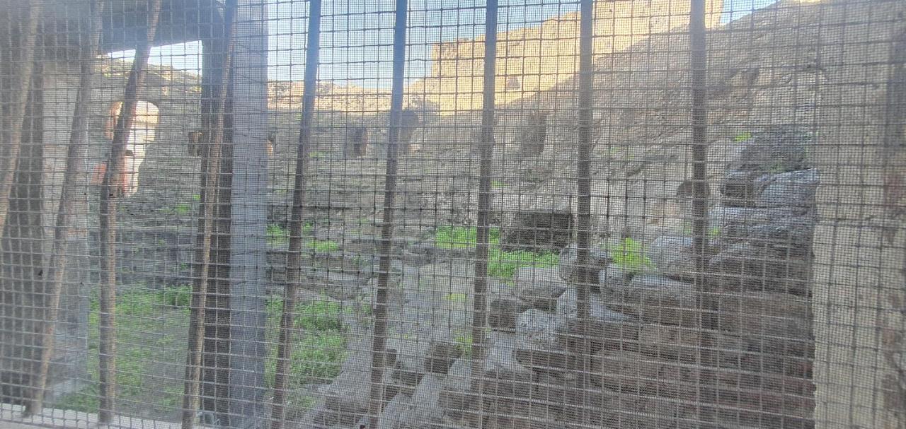 Domus Odeon La Casa Nel Parco Archeologico Di Catania公寓 外观 照片